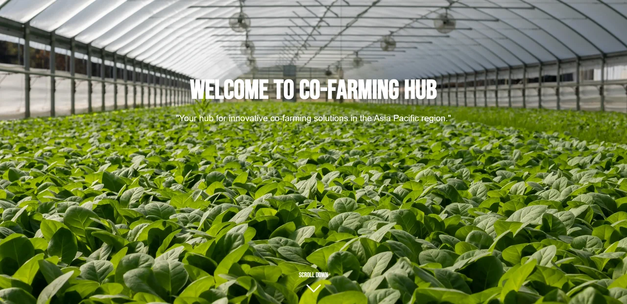 The CoFarmingHub site we built, on a desktop screen.