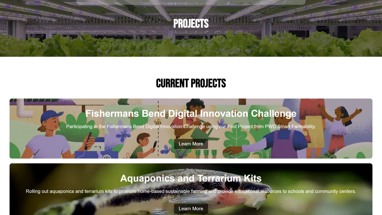 A projects page from CoFarmingHub, another site we built: each piece of work given its own card and its own page.